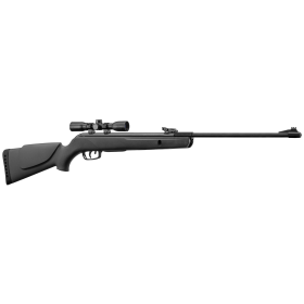 PACK CARABINE GAMO BIG CAT 1000E 4,5 MM 19,9J + LUNETTE 4X32 WR